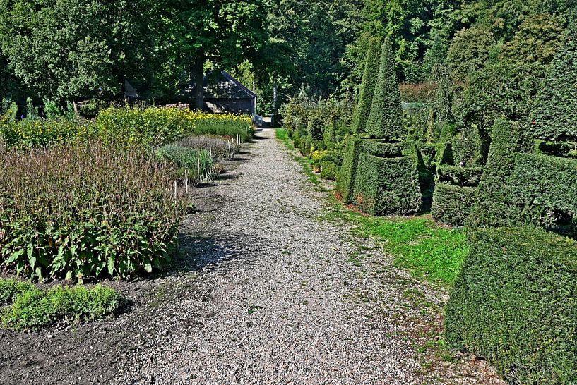 Garten mit Koniferen von Jose Lok