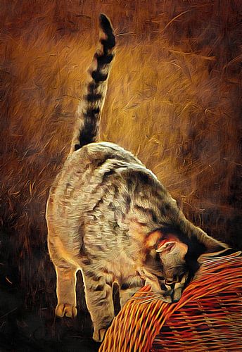 Nieuwsgierigheid en de kat