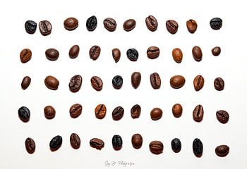 Variety of Coffee Beans Arranged in a Grid on White Background