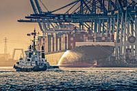 Hafenschlepper im Hamburger Hafen
