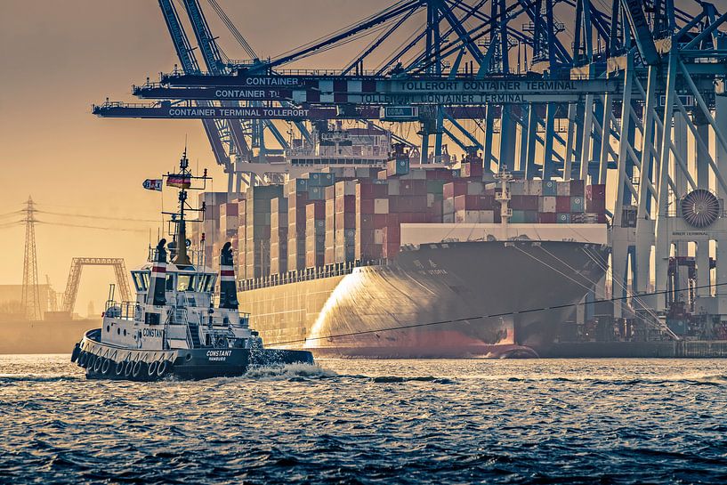 Hafenschlepper im Hamburger Hafen von Ingo Boelter