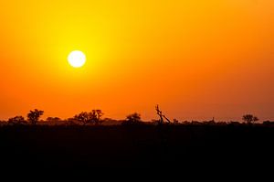 Sonnenuntergang im Kruger Park von Mark Marijnissen