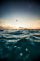 Kitesurfing Bonaire