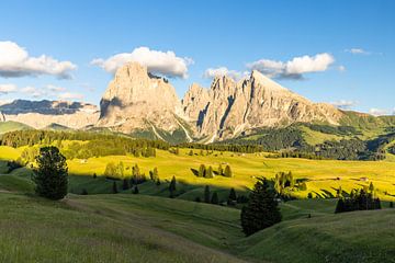 Alpe Di Siusi by Gunter Nuyts