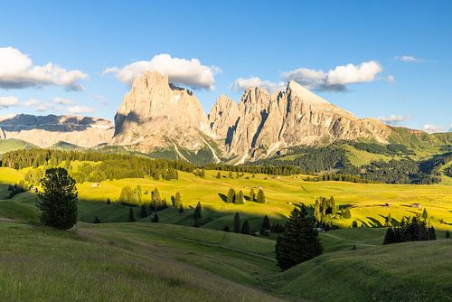 Alpe Di Siusi