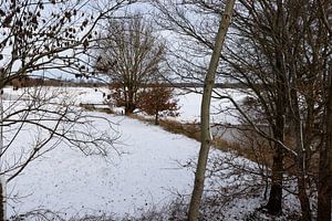 Ein sonniger Wintertag an der Ems