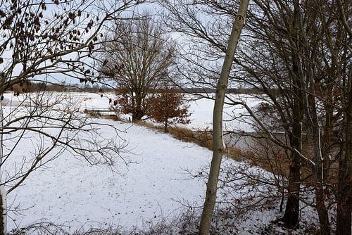 Een zonnige winterdag op de Ems