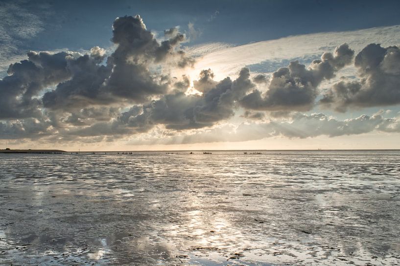 Wattenmeer von Lisa Bouwman
