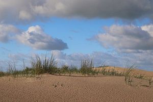 Strand von Mireille Breen