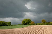 Landscape Groesbeek