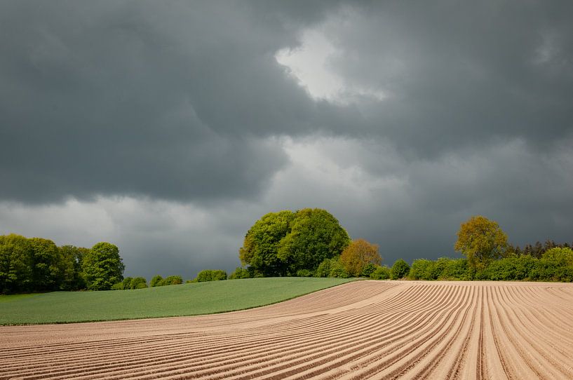 Landscape Groesbeek by Nancy van Verseveld