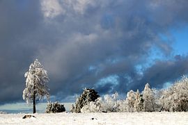 Nuages noirs .... sur Bianca Beekmans