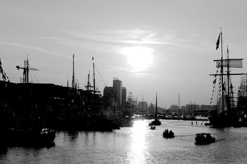 Voile 2015 sur Ray63