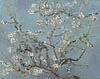 Amandelbloesem van Vincent van Gogh (zacht blauw/early dew)  van Masters Revisited thumbnail