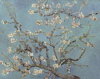 Mandelblüte ALMOND BLOSSOM zartes blau, morgentau - Vincent van Gogh