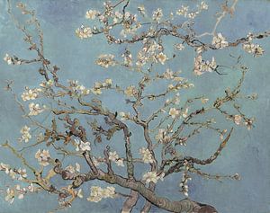 Amandelbloesem van Vincent van Gogh (zacht blauw/early dew) 