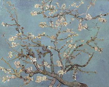 Almond blossom by Vincent van Gogh (soft blue/early dew)
