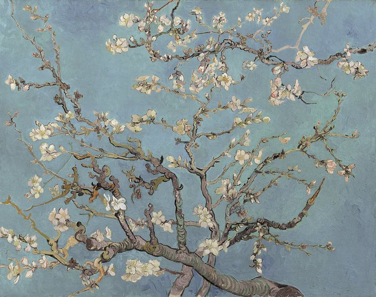 Amandelbloesem van Vincent van Gogh (zacht blauw/early dew)  van Masters Revisited