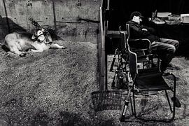 Forth Worth Stock Show Texas by Part of the vision