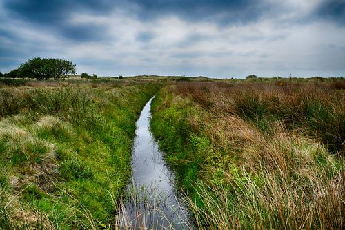 Kooiplaats op Ameland