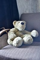 Teddybär