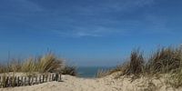 Op het duin