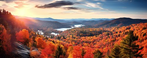 Vurig Bladerdak in de Ochtendzon