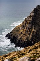Winter in Irland