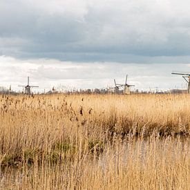 Moulins à vent, paysage néerlandais, nature sur Mirjam Verbeek