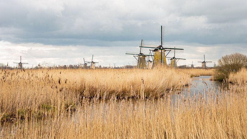 Windmühlen, holländische Landschaft, Natur von Mirjam Verbeek