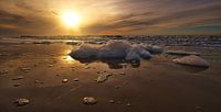 Algae foam in ozone