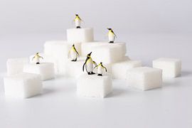 Happy feet van LUNA Fotografie