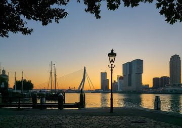 Rotterdam aan de Nieuwe Maas, zonsopkomst van Ad Jekel