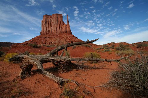 Mittens Butte - Monument Valley