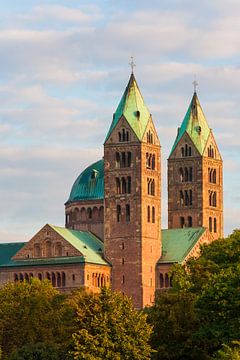 Keizerlijke kathedraal in Speyer in de Palts van Werner Dieterich
