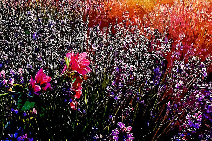 Provence Lavendel von Peter Roder
