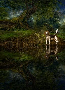 Hondje Beagel bij water in het bos van ellenilli .