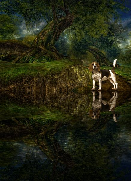Hondje Beagel bij water in het bos van ellenilli .