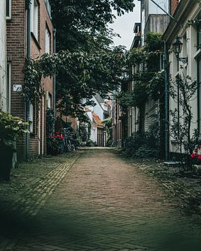 Prachtige straat in Haarlem van Sebastiaan van 't Hoog