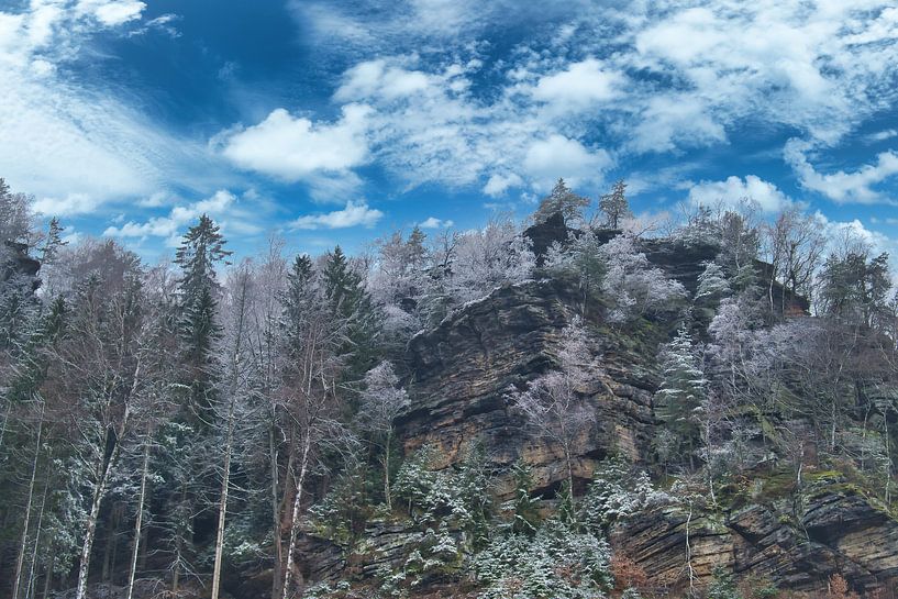 Zschirnstein avec des arbres couverts de neige et du brouillard au sommet par Martin Köbsch