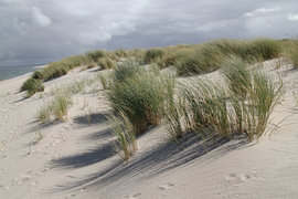 Lumière du matin sur le sable – Structure & Jeu de lumière – Photographie sur Nordlicht Atelier