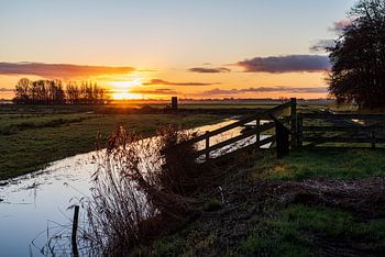 Sonnenaufgang im Polder