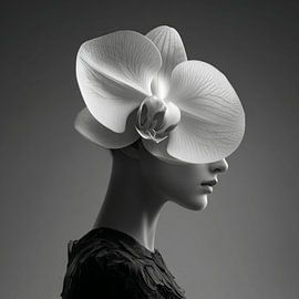 Orchid Vision – Elegante Schwarz-Weiß-Komposition