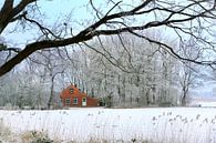 Huisje in winters landschap van Art by Fokje thumbnail