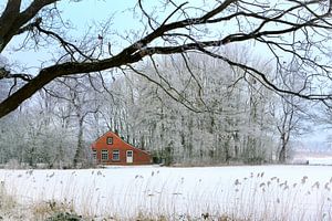Huisje in winters landschap sur Art by Fokje