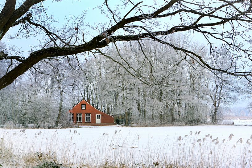 Huisje in winters landschap van Art by Fokje