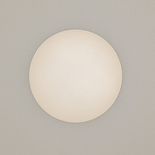 The sun