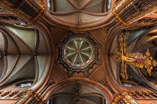 Binnen het kader. Baseliek Sittard van peter reinders