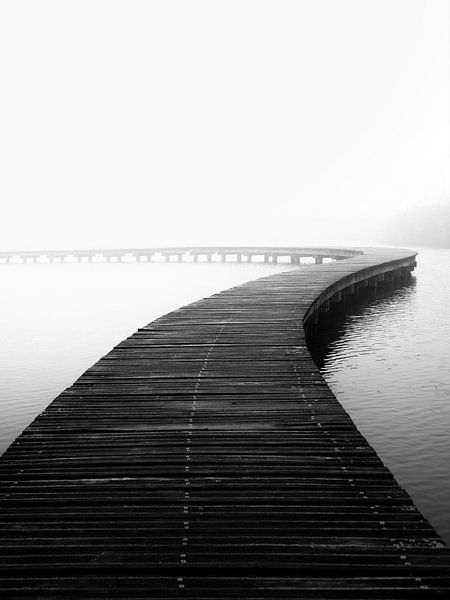 Two way path by Eduardo