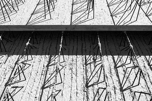 Wide-slab floor in black and white